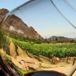 Ensenada Shore Excursion: Entre Santos and El Cielo Winery Tours with Lunch - The Sum Up