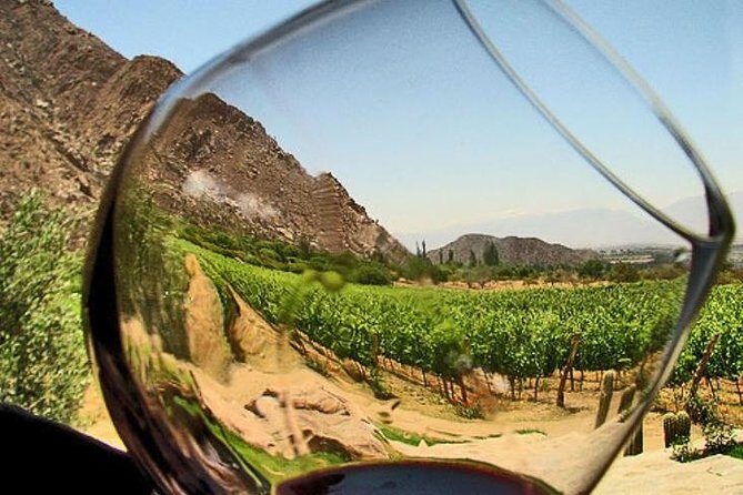 Ensenada Shore Excursion: Entre Santos and El Cielo Winery Tours with Lunch - The Sum Up