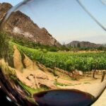 Ensenada Shore Excursion: Wine and Cheese Tour with Lunch in Ojos Negros Valley - Practical Details