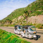 Ensenada: Street Gourmet Tour with Tacos and Drinks - Why This Tour Is a Great Choice