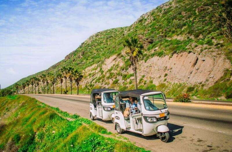 Ensenada: Street Gourmet Tour with Tacos and Drinks - Why This Tour Is a Great Choice