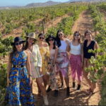 Ensenada: Valle de Guadalupe Wine Tasting Tour - The Experience in Detail