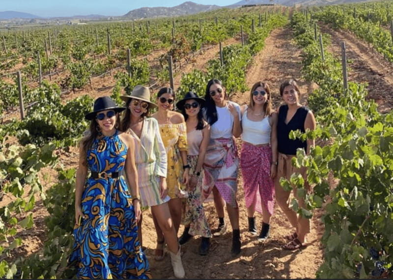 Ensenada: Valle de Guadalupe Wine Tasting Tour - The Experience in Detail