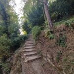 Enter the painting, touch the roots and go back in time ! - A close look at the experience