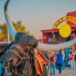 Entrance and transfer to the Texcoco International Horse Fair26 - Frequently Asked Questions