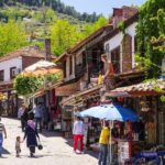 Ephesus and Sirince with Wine tasting Private Half Day Shore Excursion - Practical Details and Value