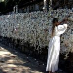 Ephesus and Virgin Mary Day Trip by Plane from Istanbul - Practical Tips and Insights