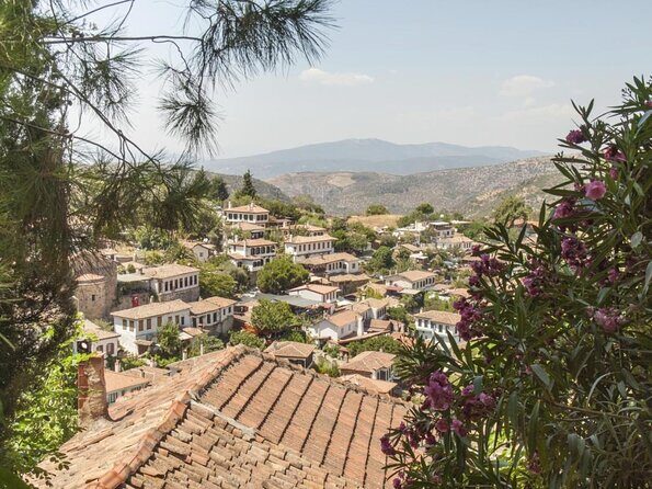 Ephesus Shore Excursion: Private Guide and Vehicle - Who Would Benefit Most?