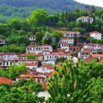 Ephesus Tour from Kusadasi Port  GUARANTEED OF NO SHOPPING STOPS - Who Is This Tour Best For?