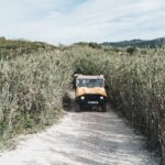 Epic Off-Road Adrenaline in Sintra - Exploring Sintra in a Whole New Way: An In-Depth Review