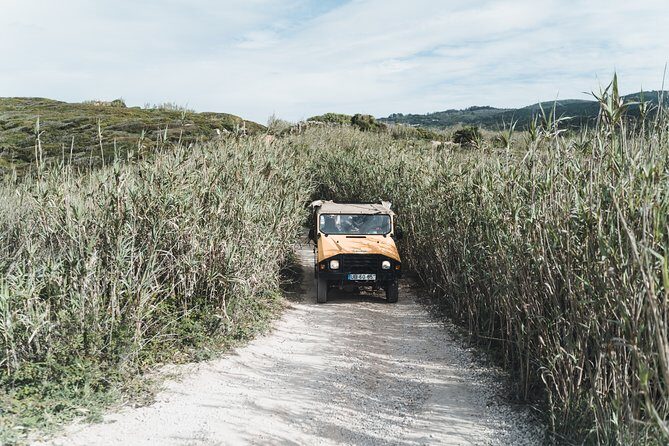 Epic Off-Road Adrenaline in Sintra - Exploring Sintra in a Whole New Way: An In-Depth Review