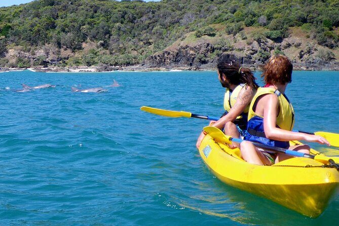Epic Rainbow Beach Dolphin Kayak and 4WD Adventure Tour - FAQs