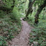 Epirus: Zagori Rafting Tour with viewpoints,lunch and photos - Exploring Zagori: An Authentic Adventure