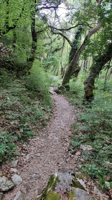 Epirus: Zagori Rafting Tour with viewpoints,lunch and photos - Exploring Zagori: An Authentic Adventure