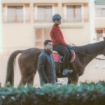 Equestrian Experience with Horses from Marmaris - Final Thoughts: Who Should Book?