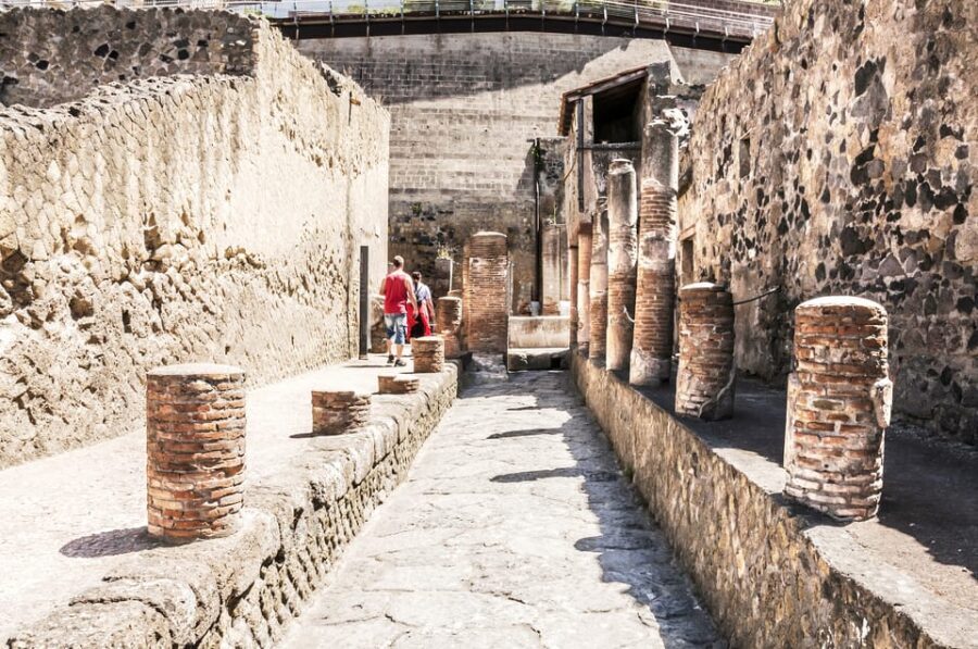 Ercolano: Herculaneum Entry Ticket with Optional Audio Guide - The Audio Guide: A Wealth of Information