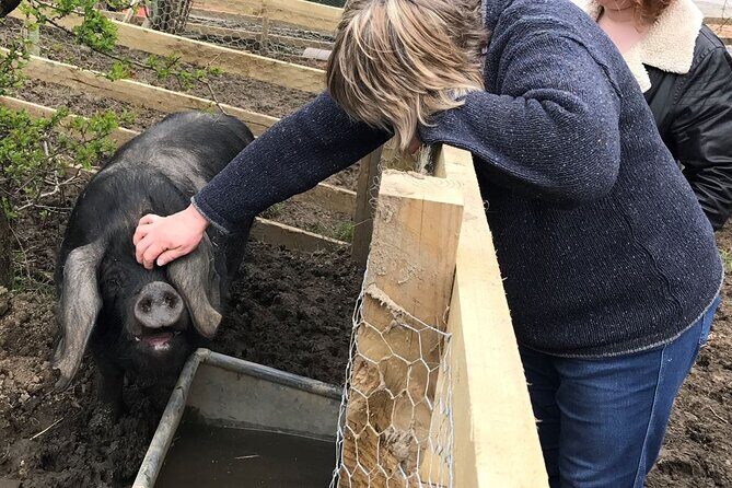 Errichel Farm Tour - Why This Tour Offers Solid Value