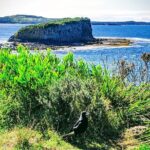Erupting Blowholes and Ancient Rainforests SOUTH COAST OF SYDNEY PRIVATE TOUR - Is this Tour Worth the Price?