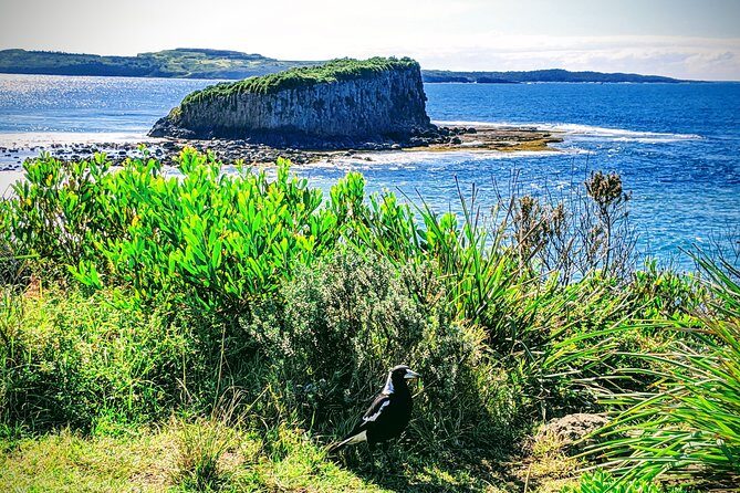 Erupting Blowholes and Ancient Rainforests SOUTH COAST OF SYDNEY PRIVATE TOUR - Is this Tour Worth the Price?