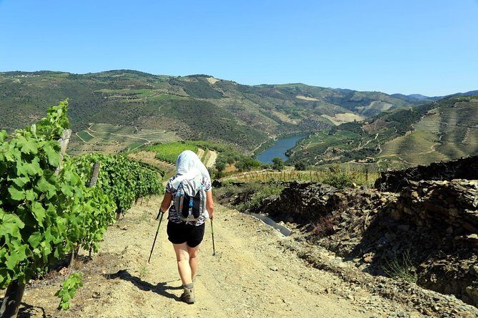 Ervedosa do Douro Walking Tour - Who Will Love This Tour?