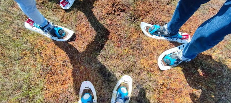 Escape from Tallinn  Hike, Swim, Forage & Cuddle Sled Dogs - The Breakdown: What You Can Expect