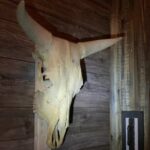 Escape Game: Odin's Hidden Temple - Who Will Love Odins Hidden Temple?