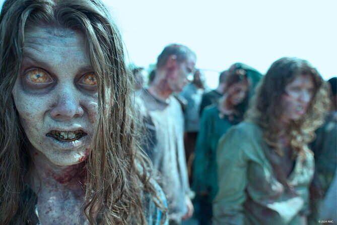 Escape Game Outdoor The Walking Dead in Pau - Who is This Tour Best For?