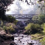 Escape into Sardinia - Authentic Experiences and Real Traveler Insights