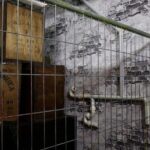 Escape Room Experience Area 54 - Who Will Enjoy This?