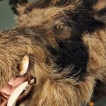 Escape Room Experience Taupo - The Hunting Lodge - Final Thoughts
