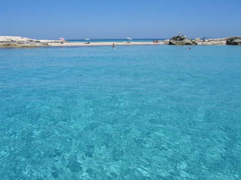 ESPALMADOR TOUR DE 9:45 HASTA LAS 15:45 - A Deep Dive into the Experience