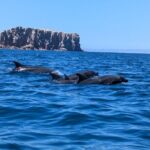 Espíritu Santo Adventure Private Tour - Why It’s a Worthwhile Choice