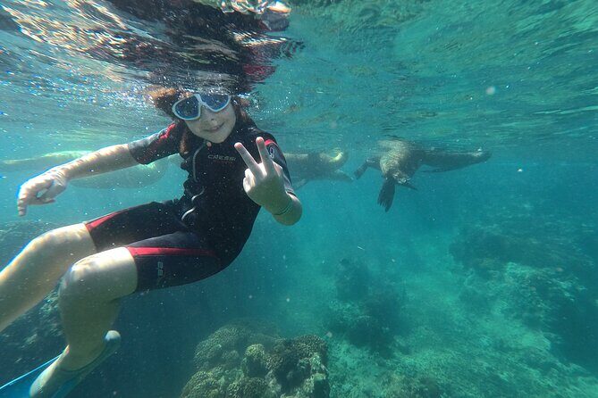 Espíritu Santo Island snorkel and sightseeing tour on Small Group - Final Thoughts: Why Choose This Tour?