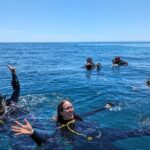 Espíritu Santo Private Scuba Tour - Who Will Love This Tour?