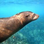 Espiritu Santo Wildlife Expedition and Snorkeling Tour (Private) - Practical Details: What You Need to Know