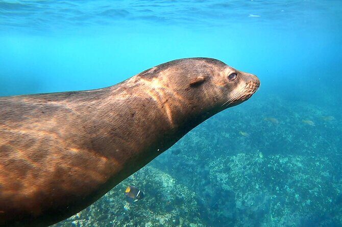 Espiritu Santo Wildlife Expedition and Snorkeling Tour (Private) - Practical Details: What You Need to Know