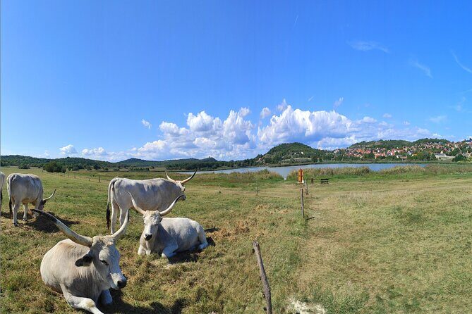Essence of Hungarian Rural Beauty: 5 Hour Balaton Private Tour - Why This Tour Offers Good Value