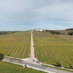 Estremoz, Alentejo, Portugal: Wine tour & Wine tasting - Who Would Enjoy This Tour?