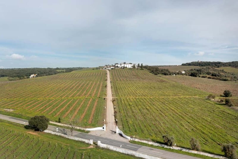 Estremoz, Alentejo, Portugal: Wine tour & Wine tasting - Who Would Enjoy This Tour?