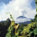 Etna and Wines Tour - Why This Tour Works for Travelers