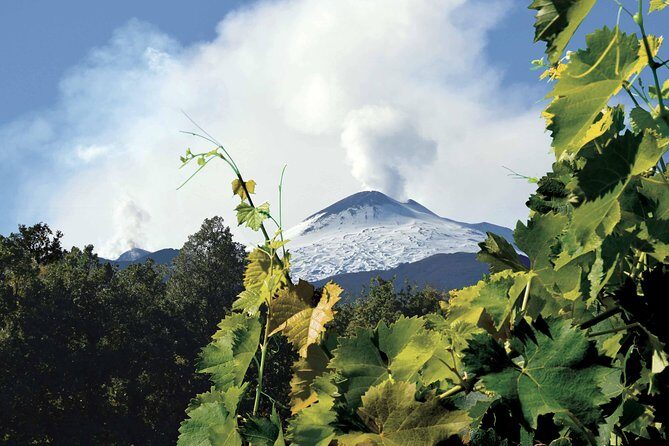 Etna and Wines Tour - Why This Tour Works for Travelers