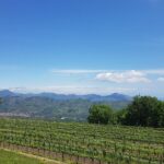 Etna Classic & Winery (day trip) - An In-Depth Review of the Etna Classic & Winery Day Trip