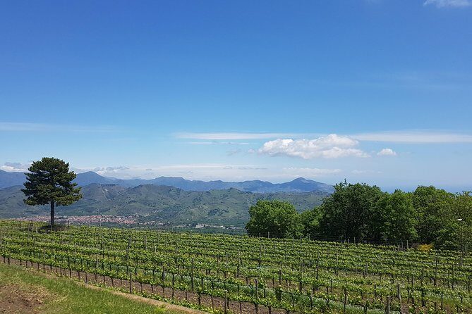 Etna Classic & Winery (day trip) - An In-Depth Review of the Etna Classic & Winery Day Trip