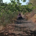 Etna Easy Tour - What’s the Experience Like?