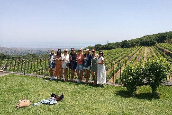 Etna Excursion and Lunch - Wine Tasting in Etna DOC Vinery - An In-Depth Look at the Mount Etna Excursion