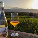 Etna excursion and wine tasting with Sicilian lunch - Why This Tour Works