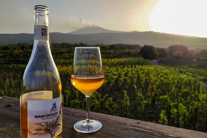 Etna excursion and wine tasting with Sicilian lunch - Why This Tour Works