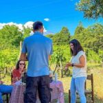 Etna Food and Wine Tour from Taormina - Who Will Love This Tour?
