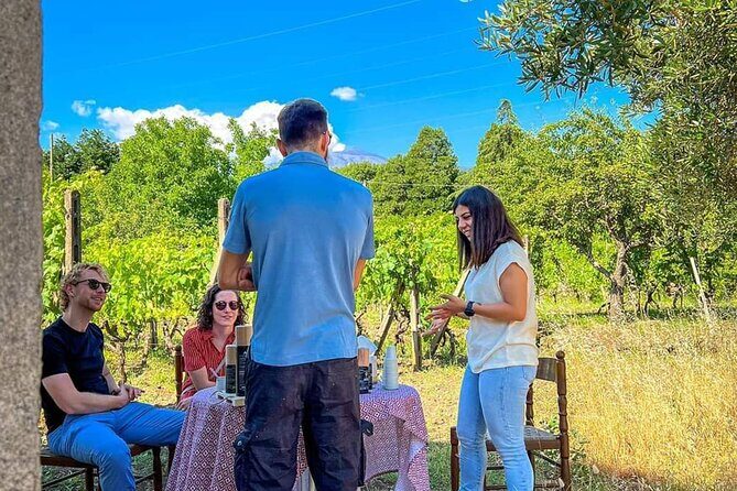 Etna Food and Wine Tour from Taormina - Who Will Love This Tour?