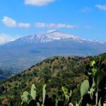 Etna Grantour - 4x4 & trekking - Private tour with lunch included - An In-Depth Look at the Etna Grantour Experience
